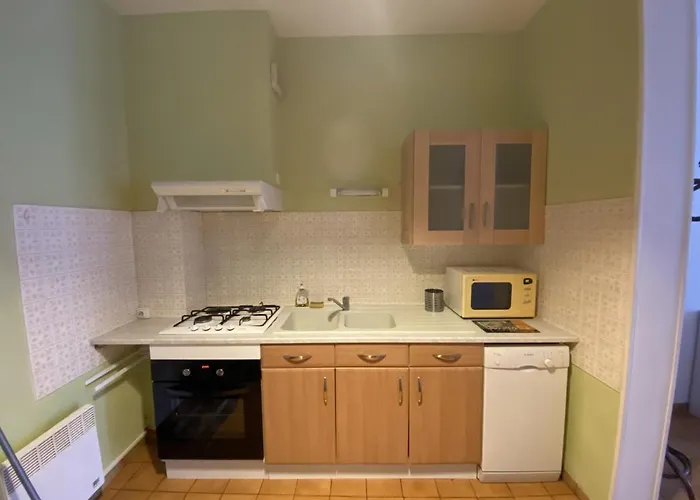 T3 Centre-ville La Roche-posay, Balcon, Wi-fi, Proximite Thermes Et Commerces - Fr-1-541-76 拉罗什波赛